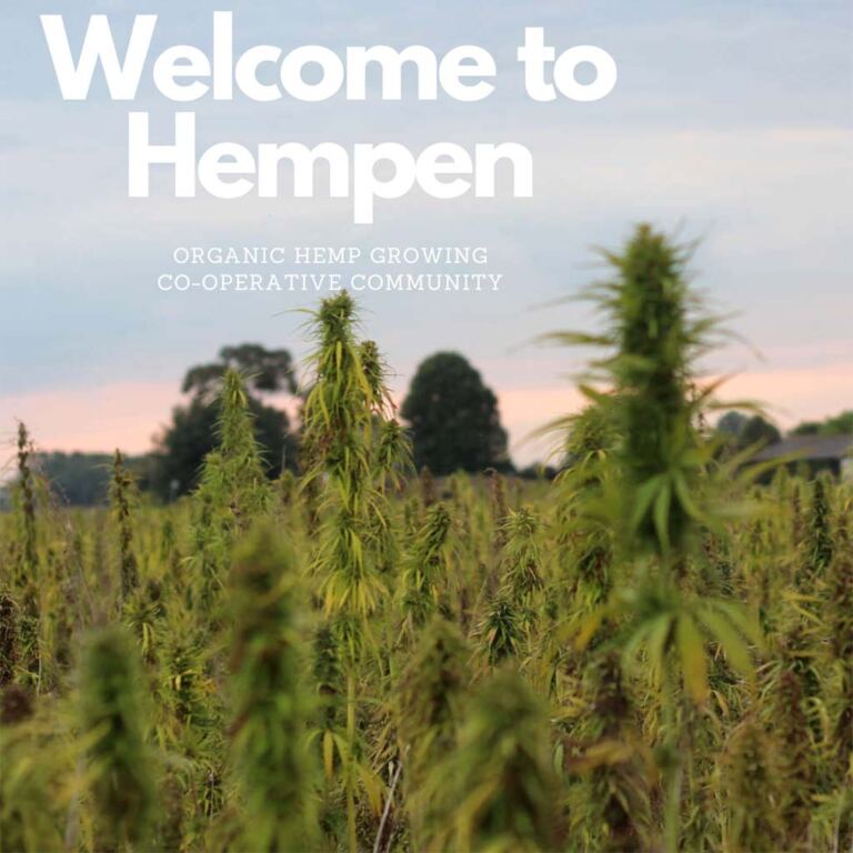 Welcome to Hempen Blog