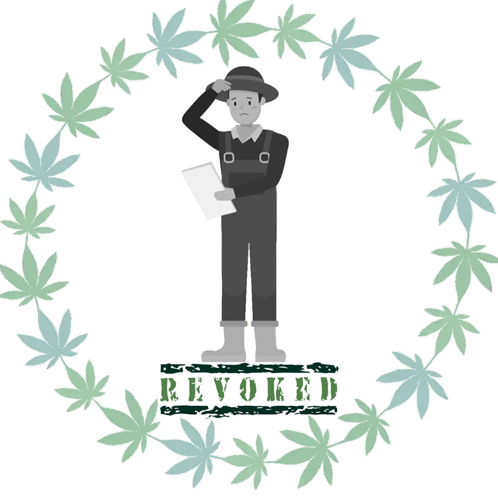 Hemp license revoked for leading UK hemp and CBD grower 24 Hemp License Blog