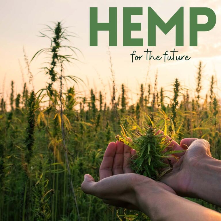 Hemp for the future Blog