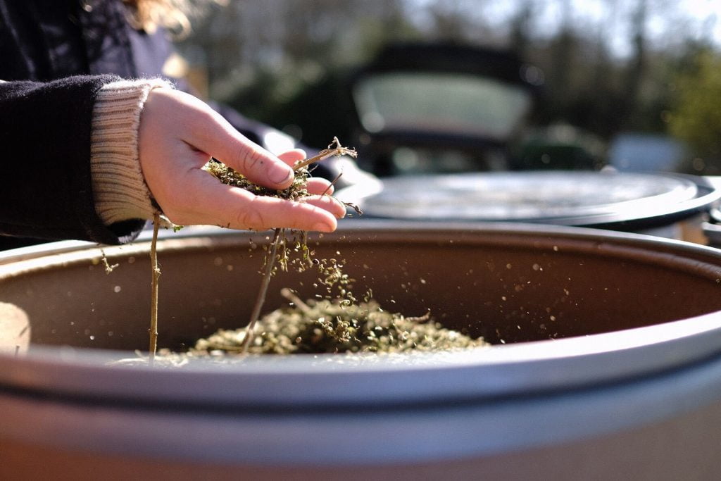 UK CBD - Novel Foods in full force 1 flower