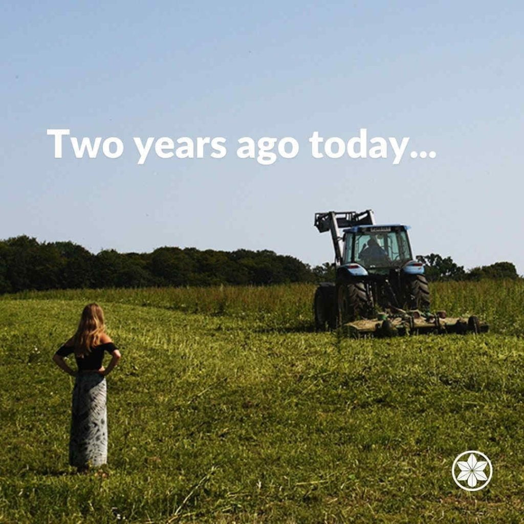 Hemp Licensing. Overgrow the regime. 1 campaign image 1