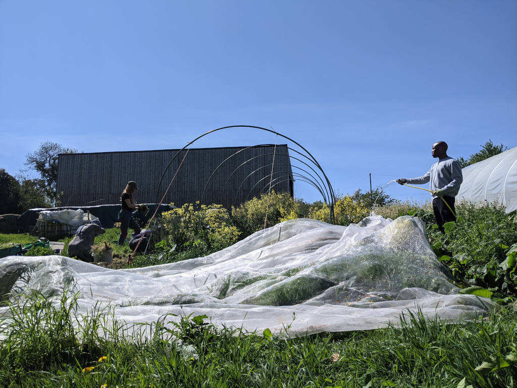 Growing Solidarity organic fields for growing vegetables