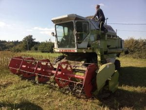 Contact 14 Hemp Consultancy