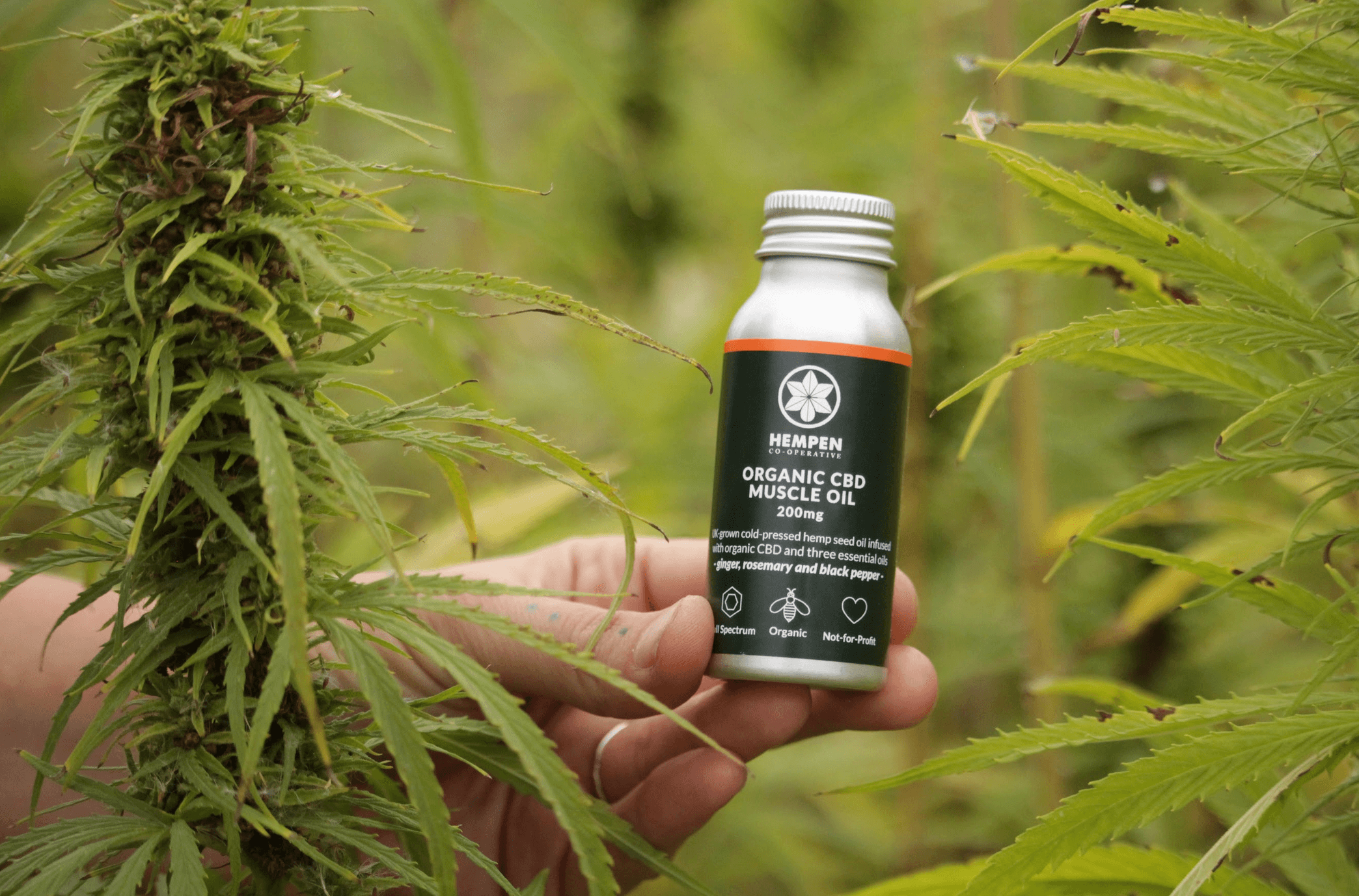 Wellbeing & Protection CBD Set 5 Wellbeing & Protection CBD Set - Image 5