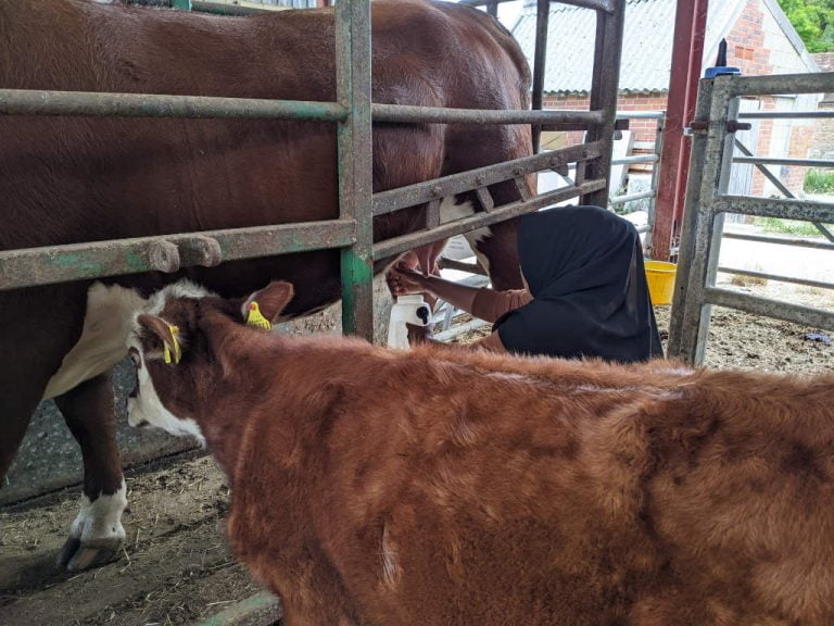Growing Solidarity Project visiting local farms to Hempen