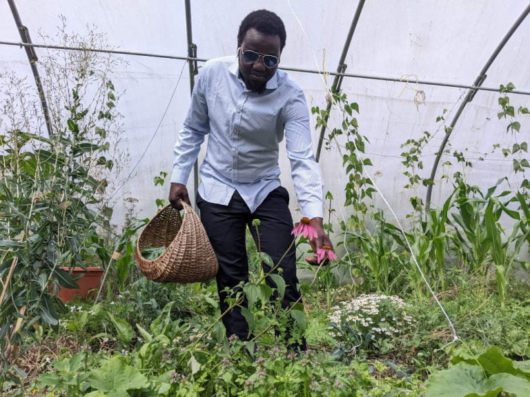 Participant in Growing Solidarity, picking flowers