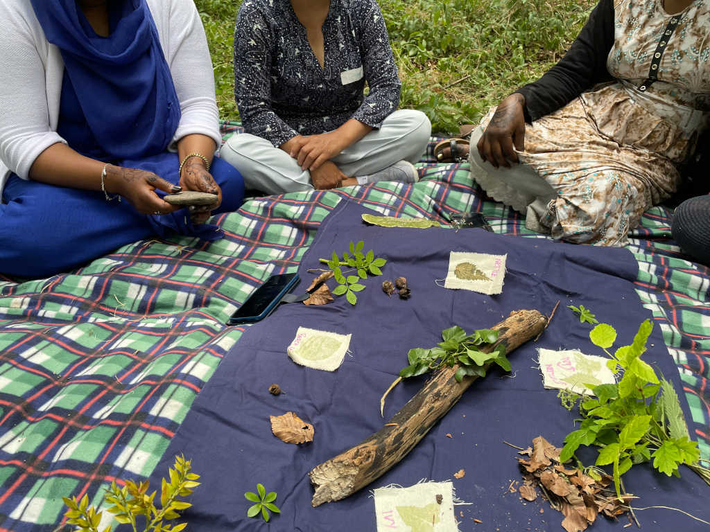 Connecting to nature by looking deeply at the leaves from the woods