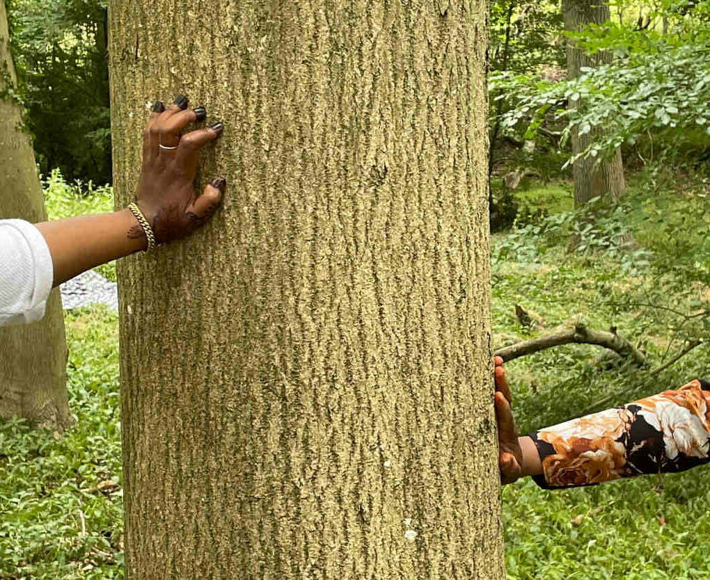 Women's hands touching trees in the woods, nature connection workshop with Growing Solidarity