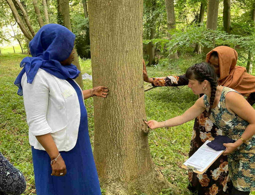 The Natural Resilience Project