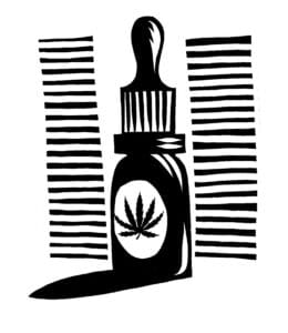Cycle-Friendly Rituals: Building a Self-Care Routine That Adapts With You 2 Dropper 2 Nick Hayes